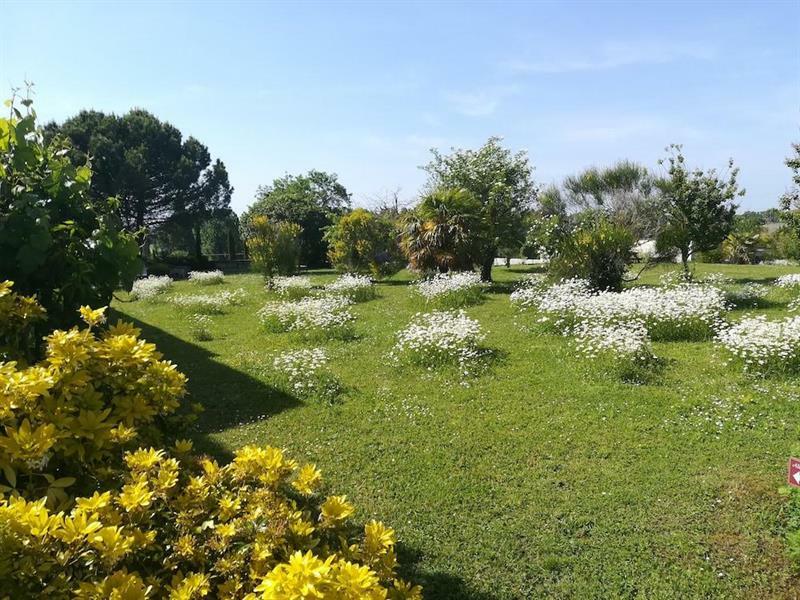Le Pigeonnier Du Perron Hotel Availles-en-Chatellerault Exteriör bild